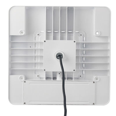 DLC IP65 130LM/W 277V White Commercial Canopy Lights