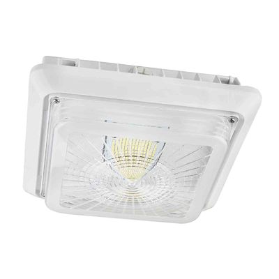 Kitchen 120V 40W 5000K IP65 LED Canopy Light Fixtures